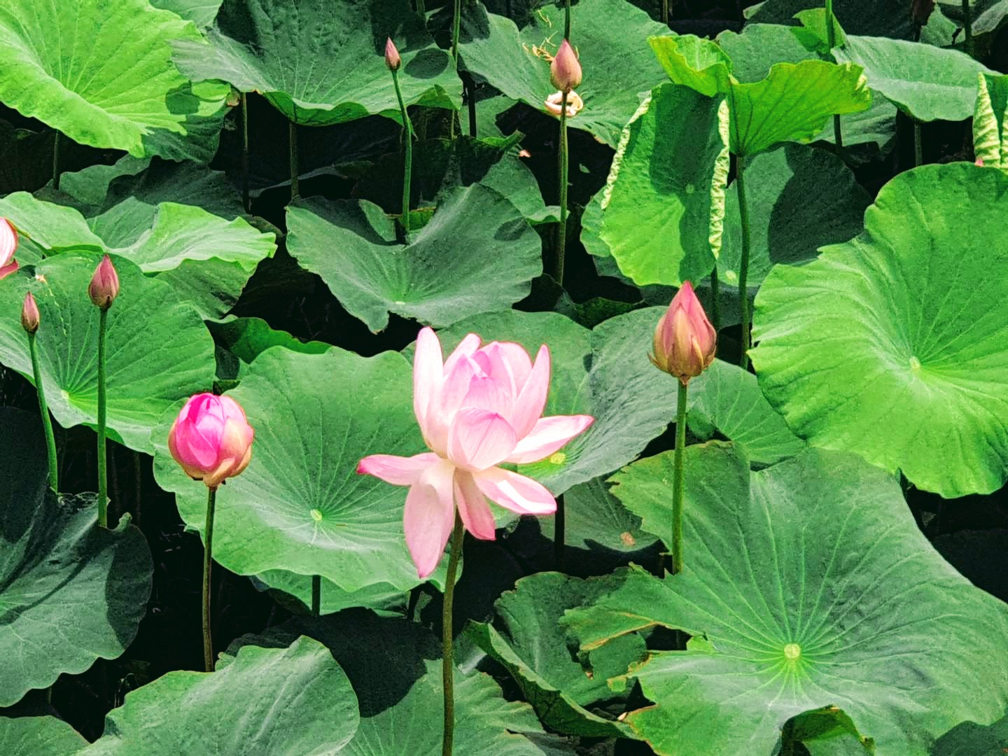 4.여행