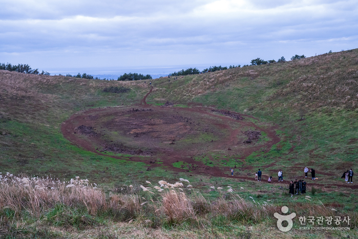제주도 여행 제주 가볼만한곳
