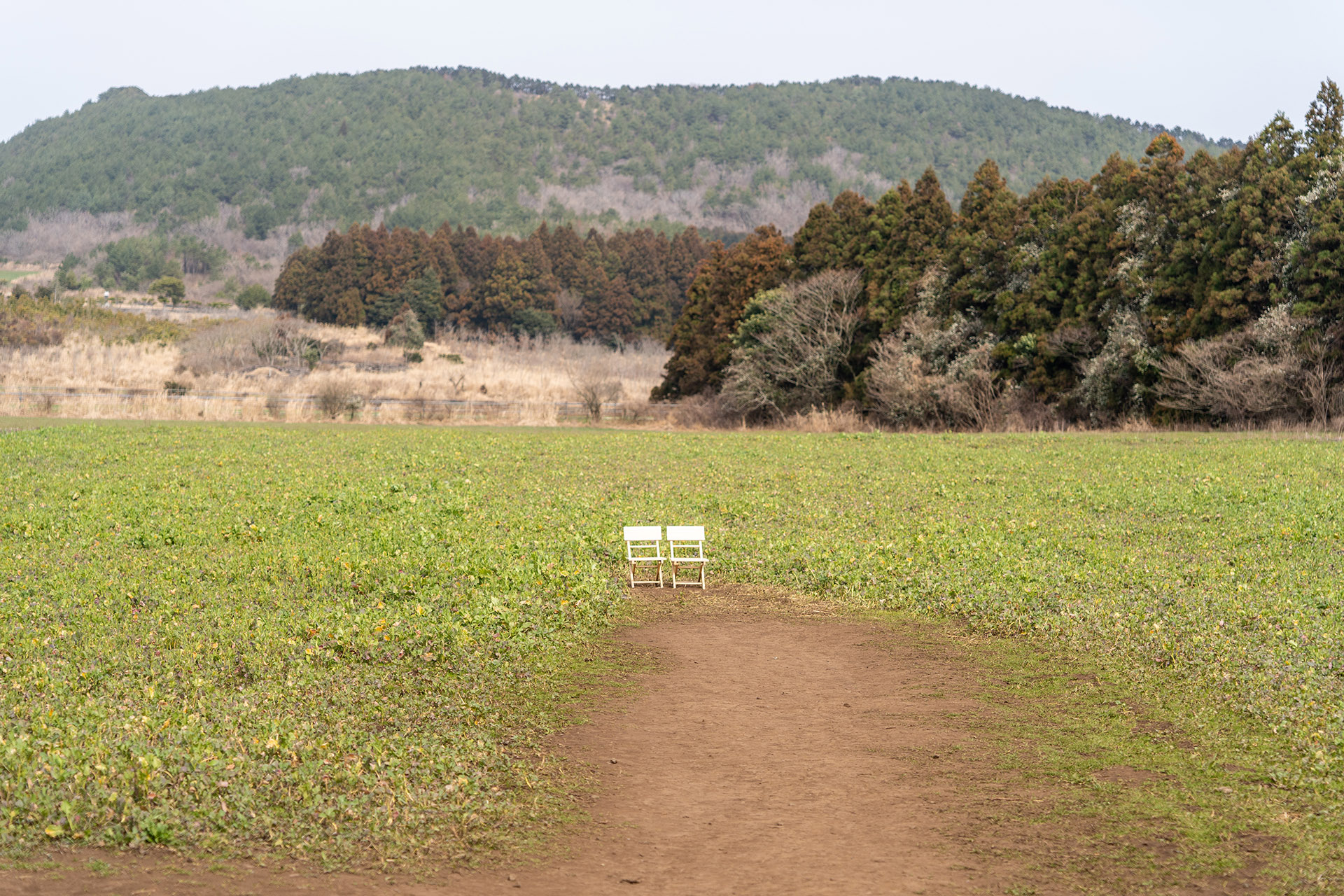 제주도 비밀의 숲 4번 오름 포토존