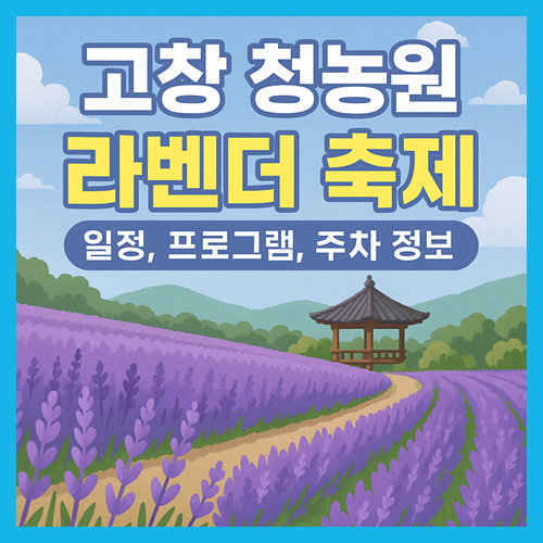 고창 라벤더 축제