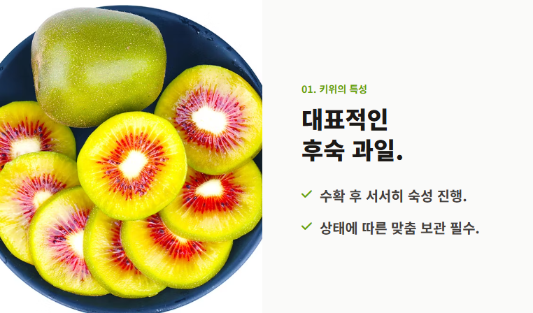 키위 보관법