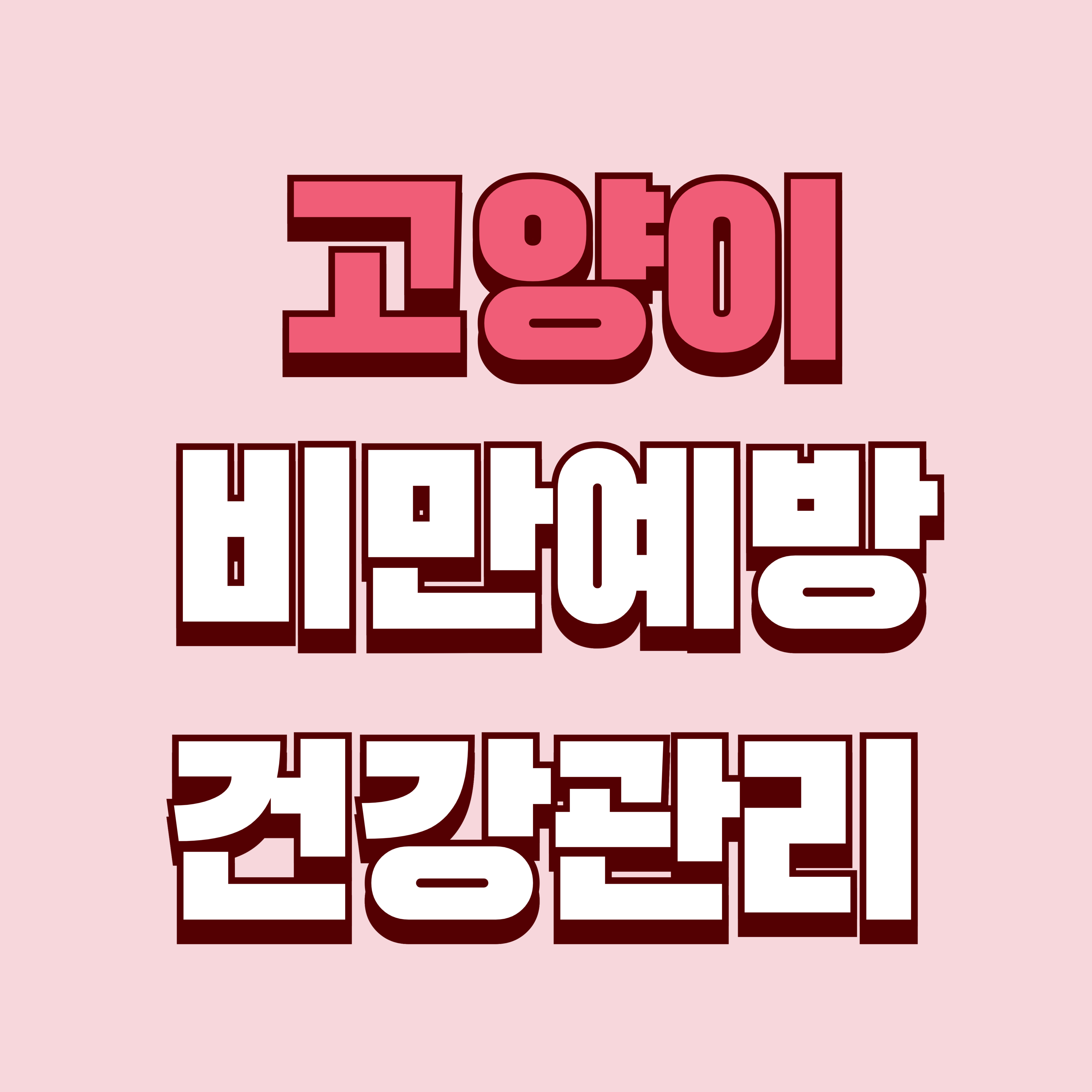 집사들을 위한 고양이 비만 예방법 - 실내묘 건강관리의 핵심