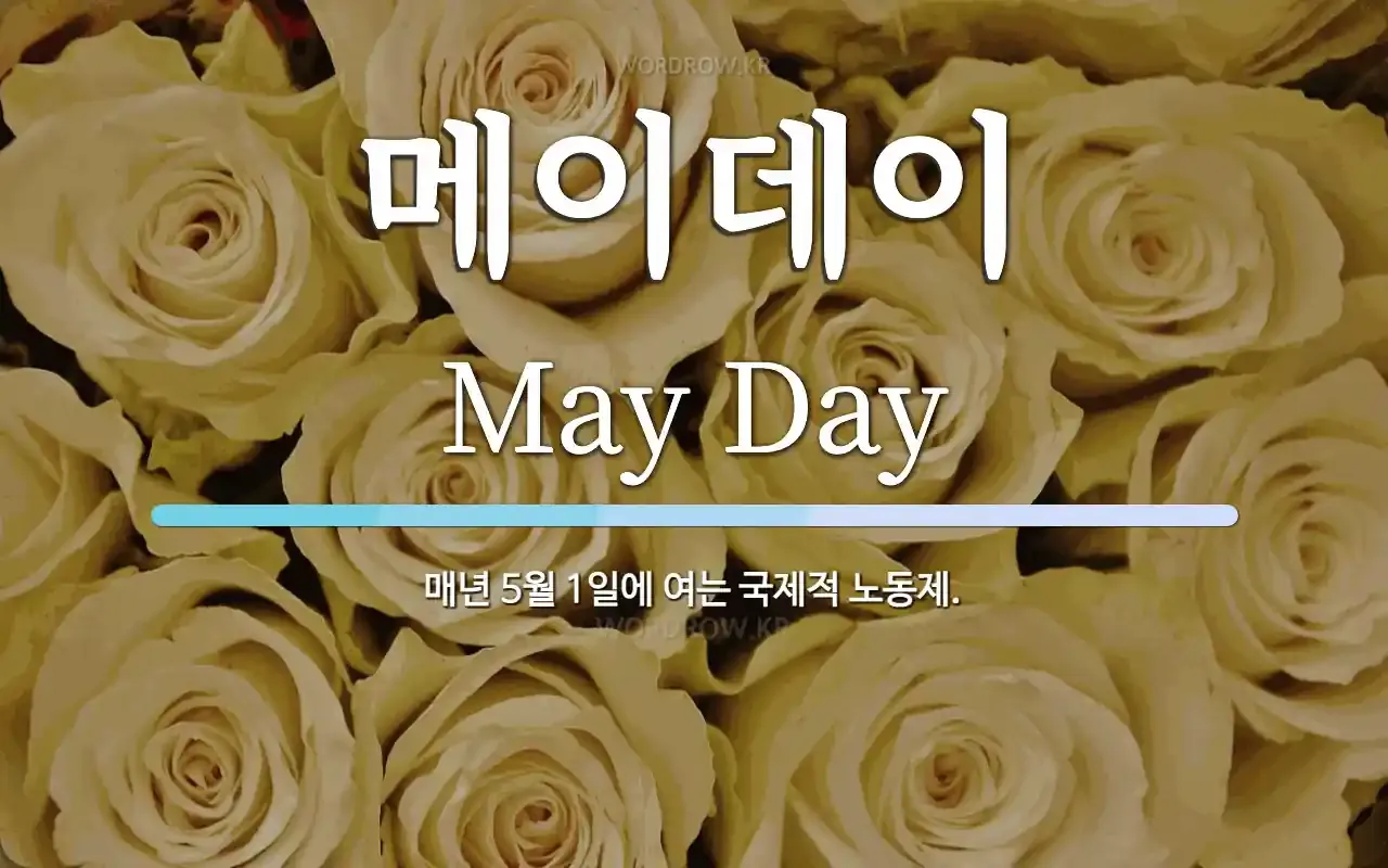 조종사 메이데이 뜻 메이데이란 메이데이 선언_6