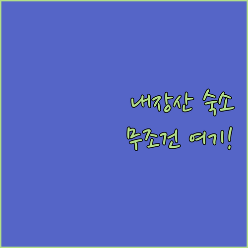 내장산 여행 정읍 숙소 추천 골드스테..