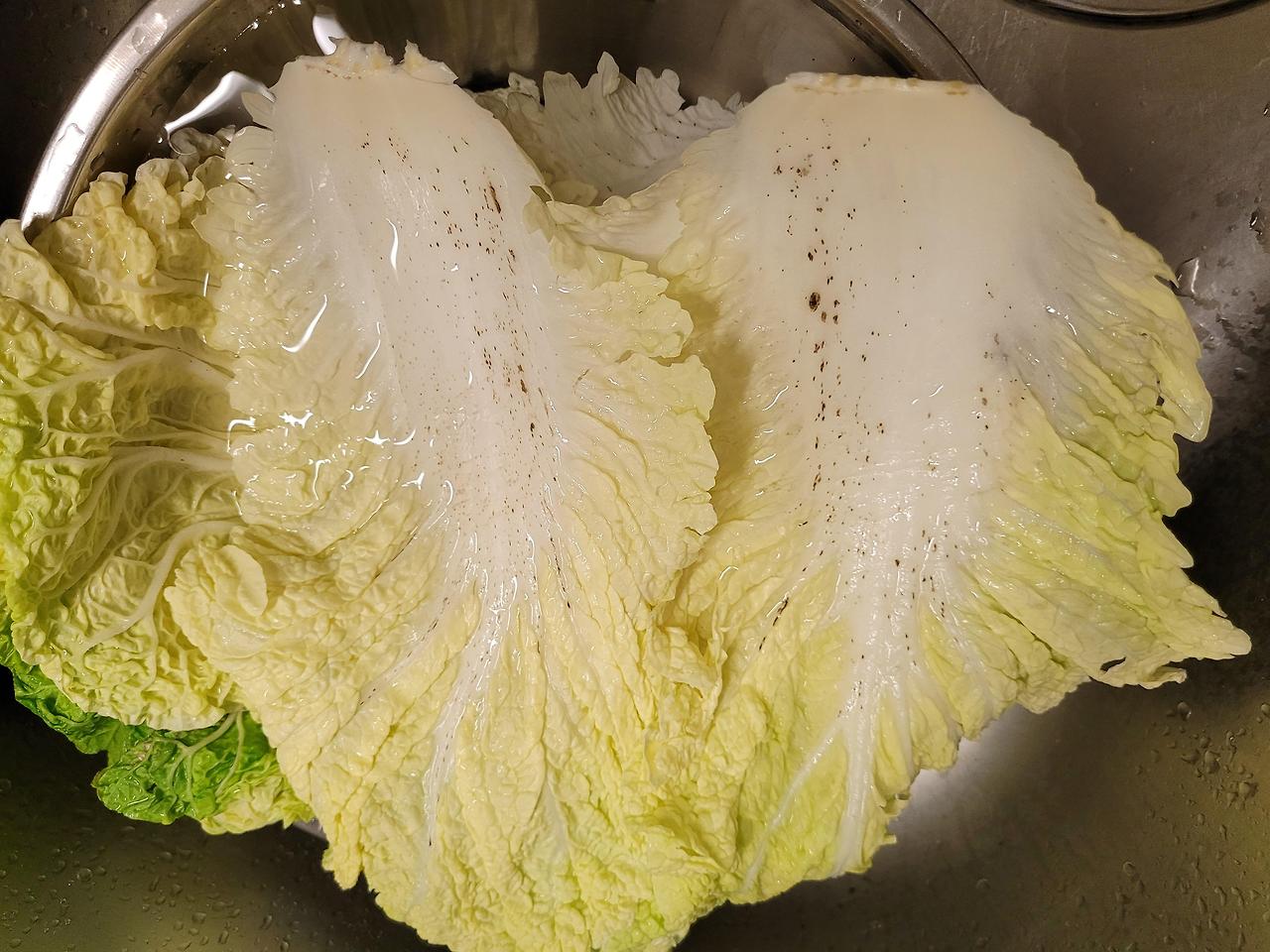 배추의 깨 같은 검은 점이 박혀 있는 모습