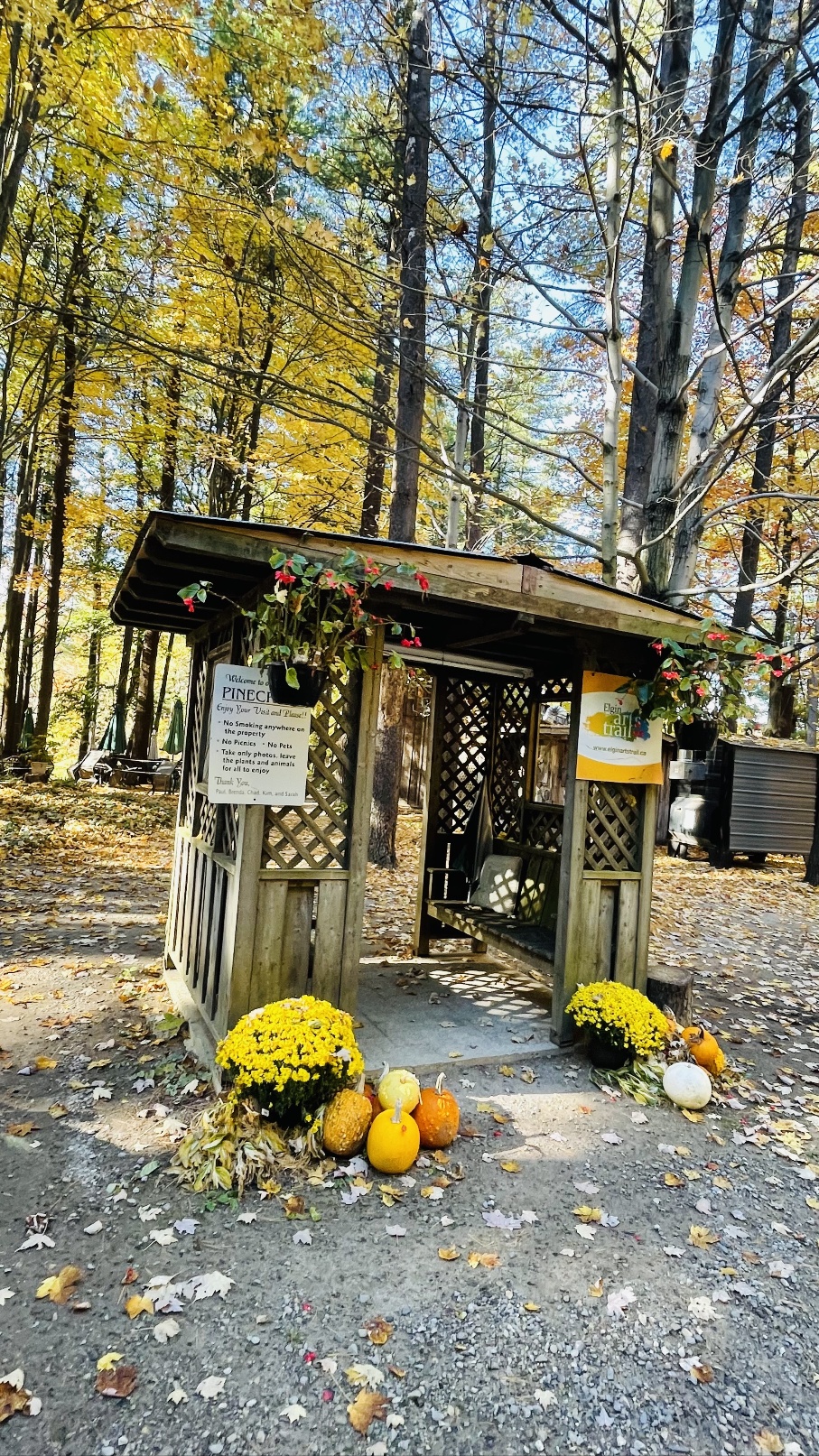 캐나다 런던 근교 하루 힐링 여행지 파인크로프트