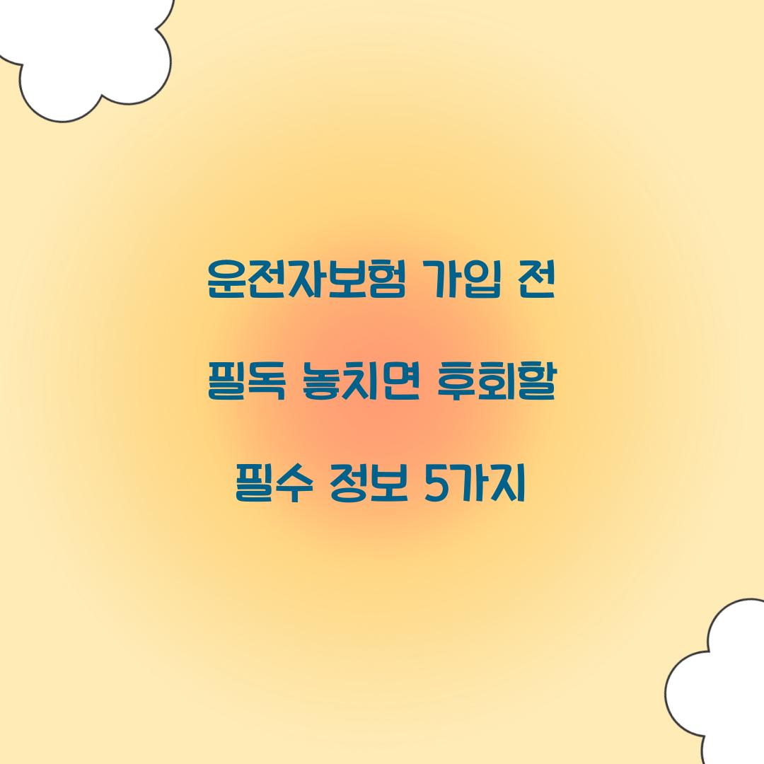 운전자보험 가입 전 필독