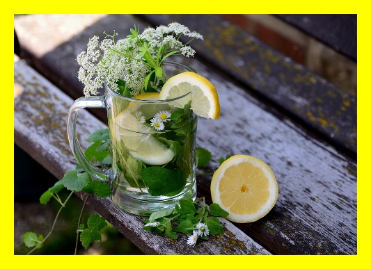 오션월드비수기요금&amp;#44; 오션월드카드사별혜택&amp;#44; 오션월드신용카드할인&amp;#44; 오션월드체크카드할인&amp;#44; 오션월드쿠폰등록&amp;#44; 오션월드할인쿠폰모음&amp;#44; 오션월드공식할인&amp;#44; 오션월드이벤트정리&amp;#44; 오션월드핫딜&amp;#44; 오션월드1+1&amp;#44; 오션월드단체할인&amp;#44; 오션월드단체예약&amp;#44; 오션월드기업제휴&amp;#44; 오션월드학교소풍&amp;#44; 오션월드여행패키지&amp;#44;