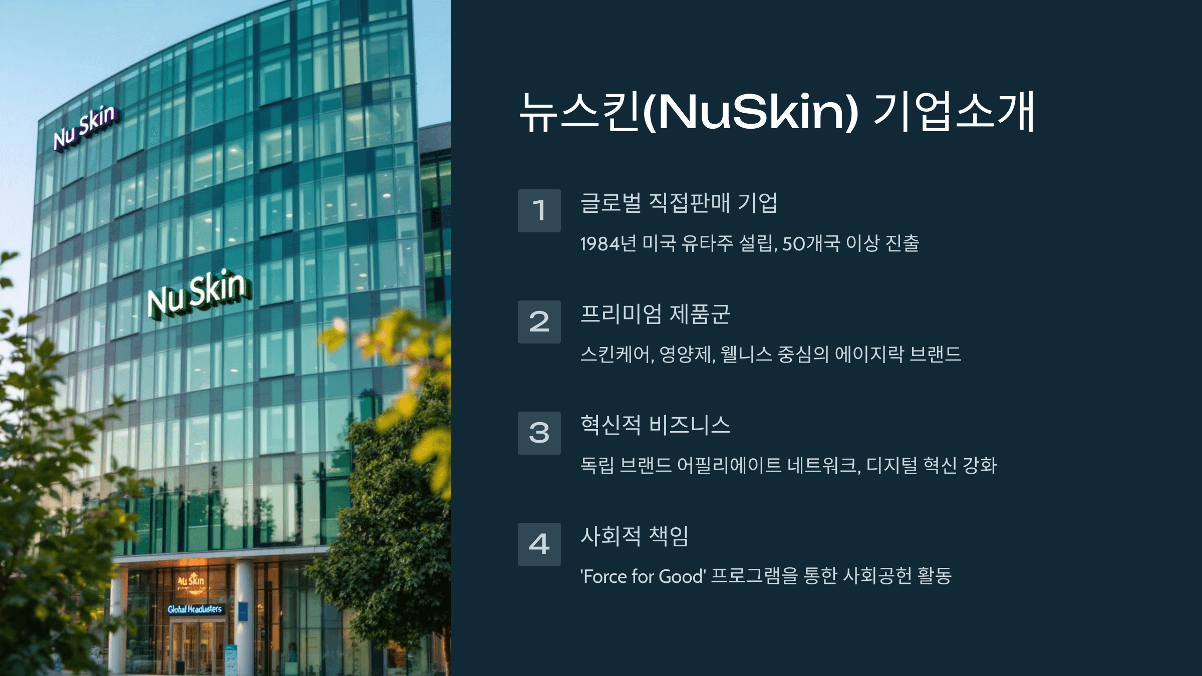 뉴스킨 기업소개