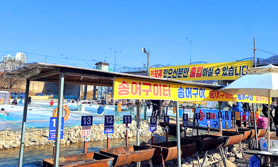 청평송어빙어축제