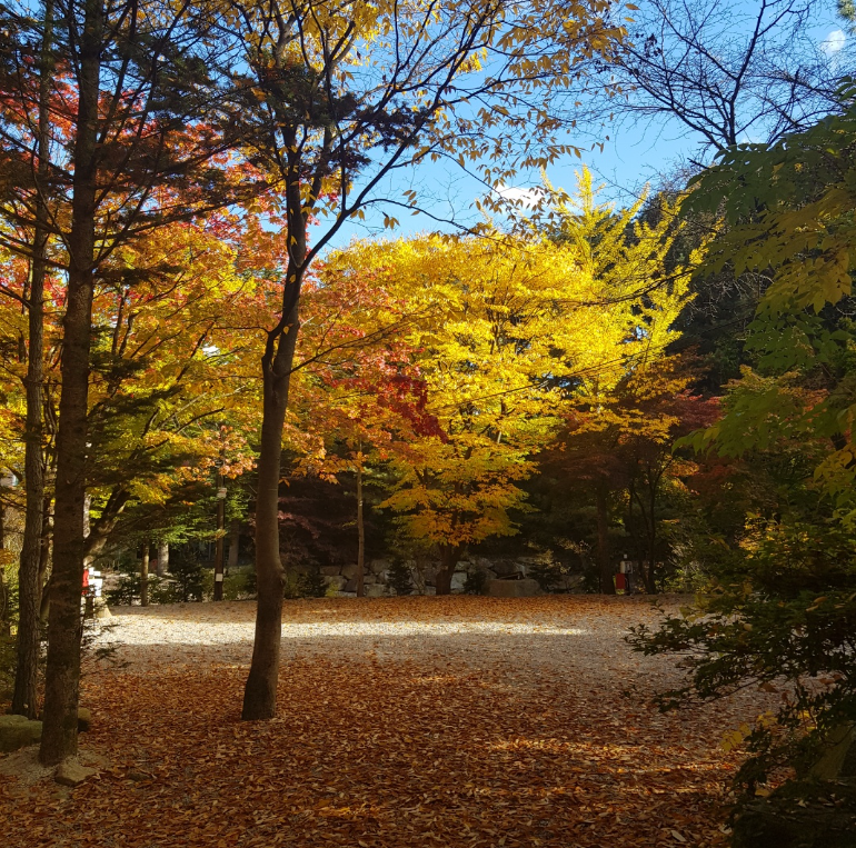 경기-포천-아버지의숲-산정캠프-사진-입니다.