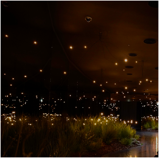 청와대 사랑채 청와대 반딧불 연화 설렘의 빛