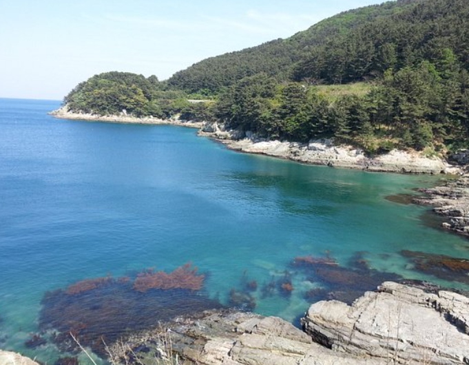 거제도 가볼만한곳 베스트10 및 거제도 맛집