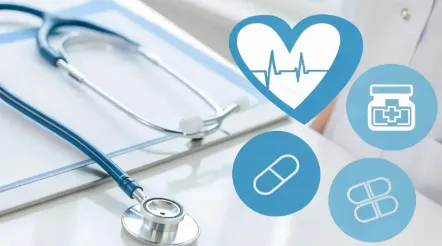 보험료 산정 기준