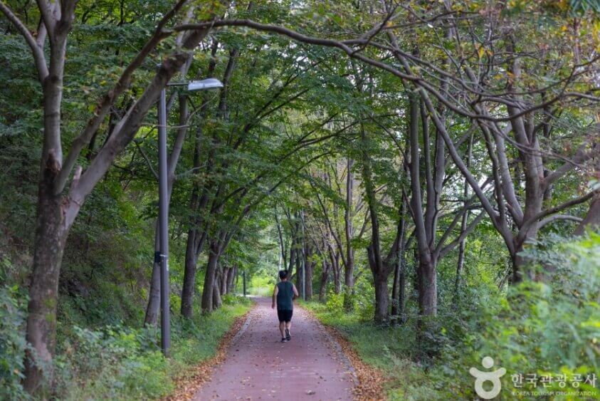 전주 가볼만한곳 베스트 10