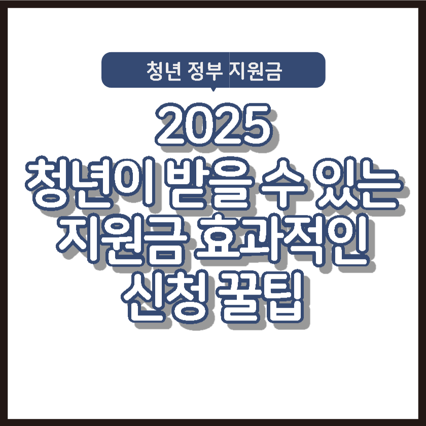 2025 청년이 받을 수 있는 지원금 효과적인 신청 꿀팁