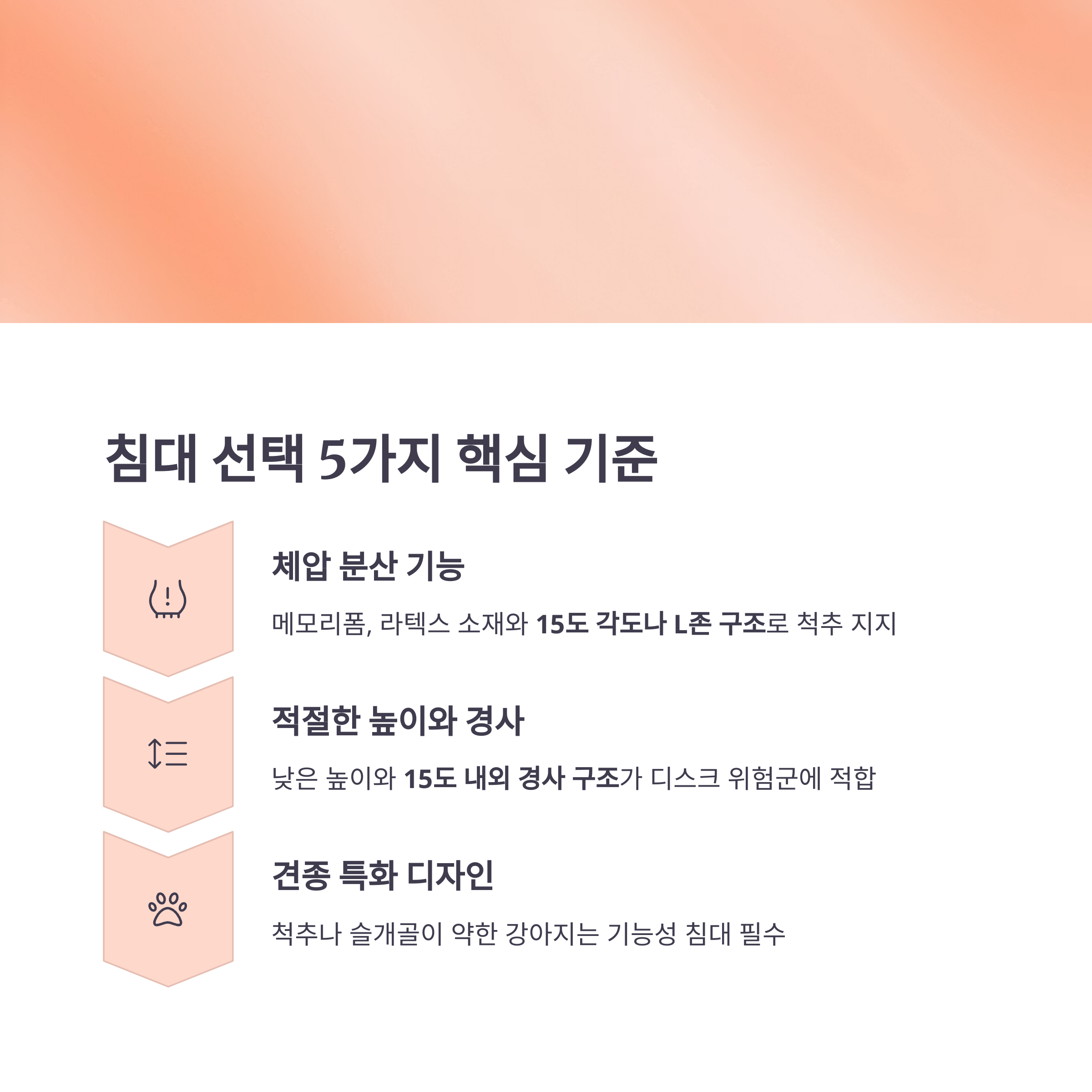 침대 선택 5가지 핵심 기준
