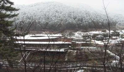 진해드림파크