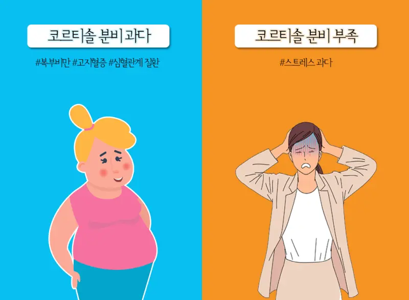 코르티솔 과다 분비