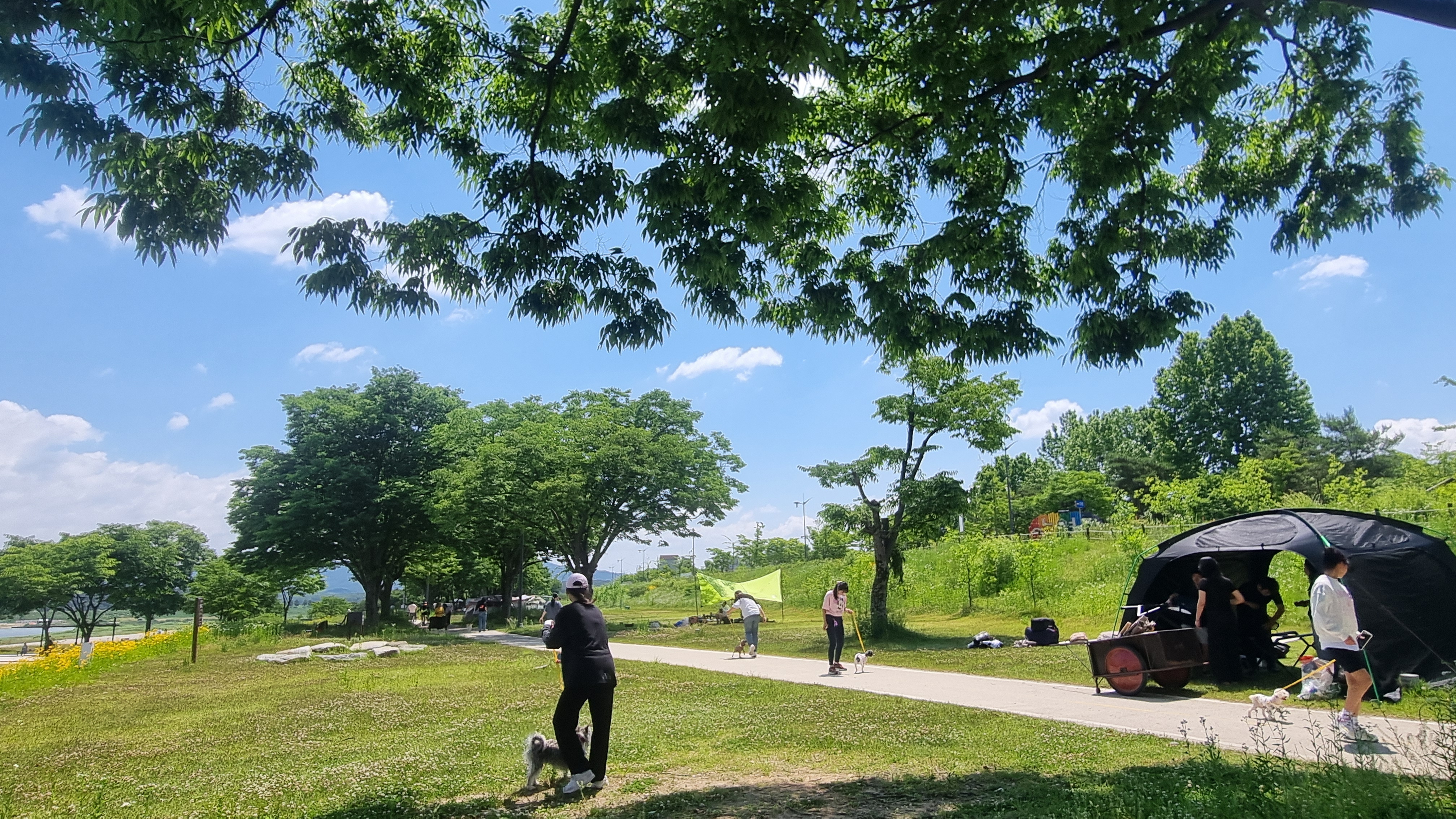 여주 금은모래캠핑장