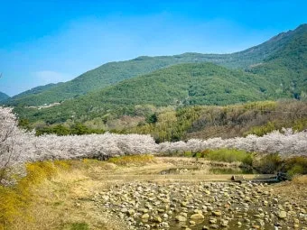 구례 여행코스 추천 섬진강 드라이브 코스와 계곡 정보_20