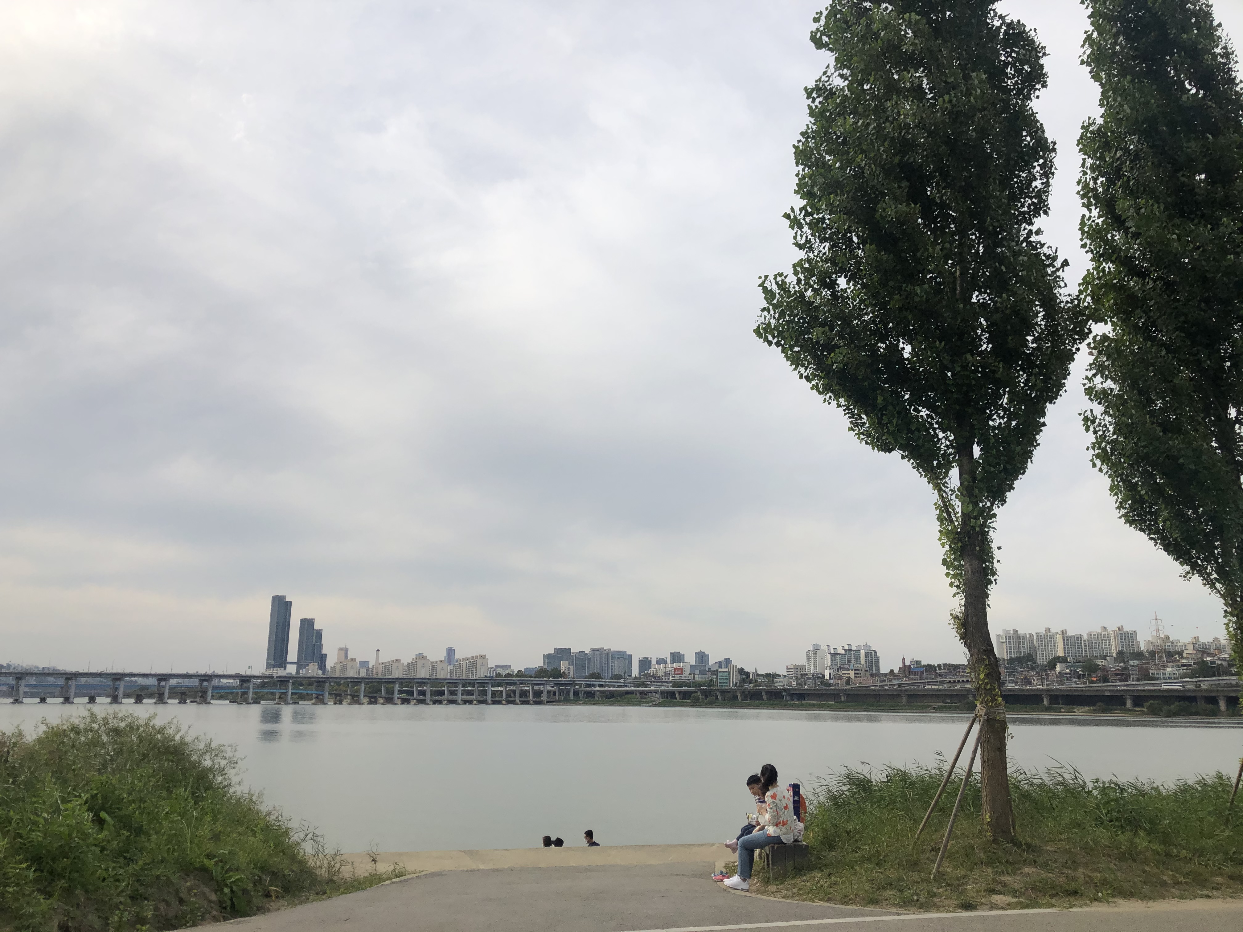 여의도-봄꽃축제-서울시제공