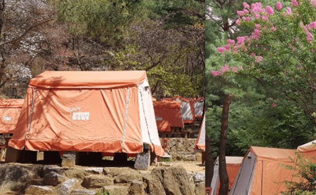 서울대공원캠핑장