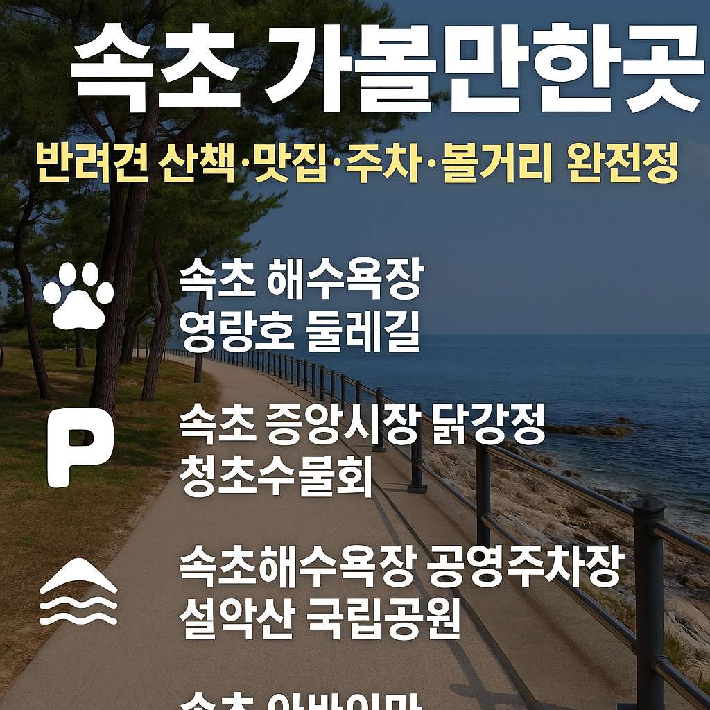 “속초 가볼만한곳 BEST 5 ❘ 반려견 동반 가능 맛집·주차·볼거리 총정리”