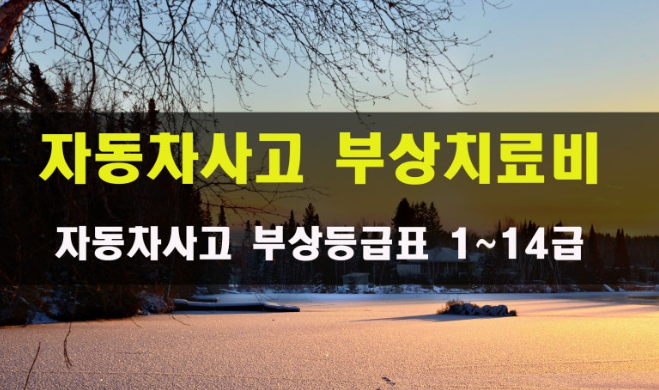 교통사고 발목 인대 파열