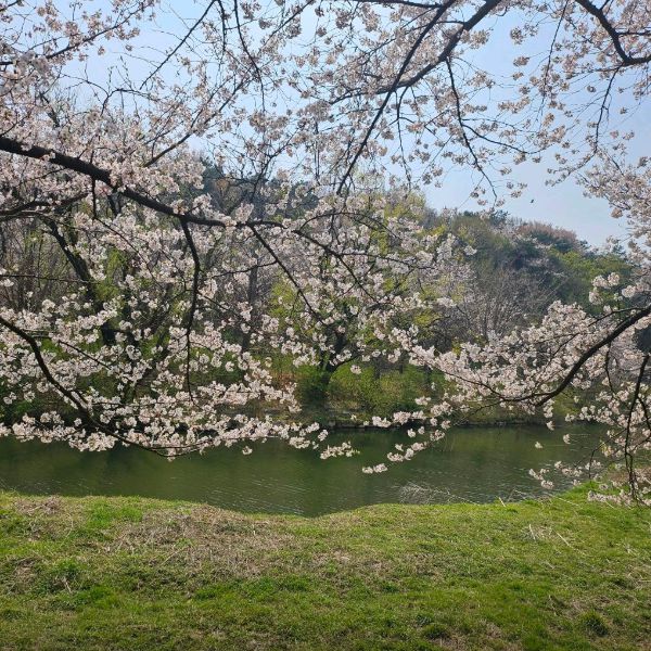서호공원