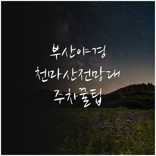 천마산 하늘전망대 부산항 야경 명소 ..