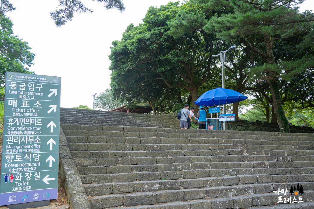 제주 만장굴 가는길