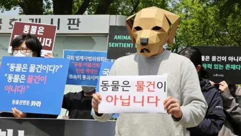 동물보호단체