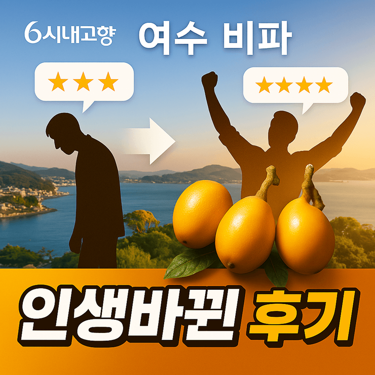 6시내고향 여수 비파 썸네일