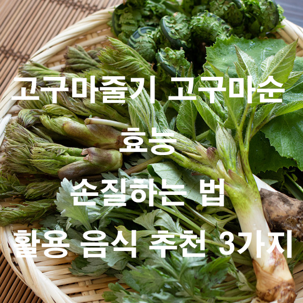 고구마줄기 고구마순 효능 손질하는 법 활용 음식 추천 3가지