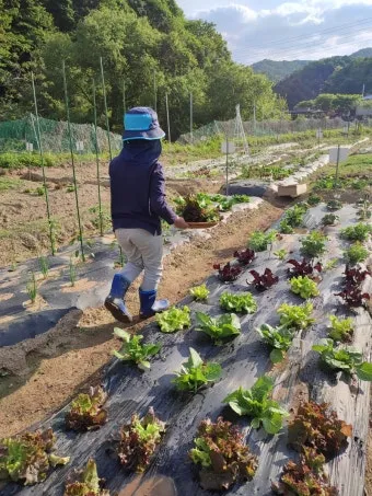 주말농장 시작법 분양 준비물 초보팁 가족과 함께 즐기기_2