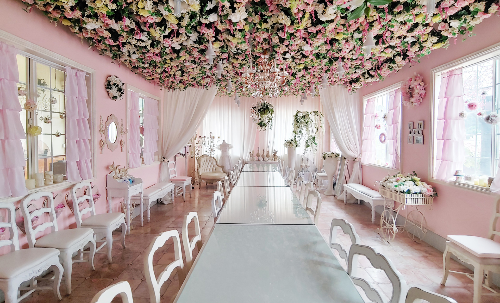 포천허브아일랜드핑크뮬리축제