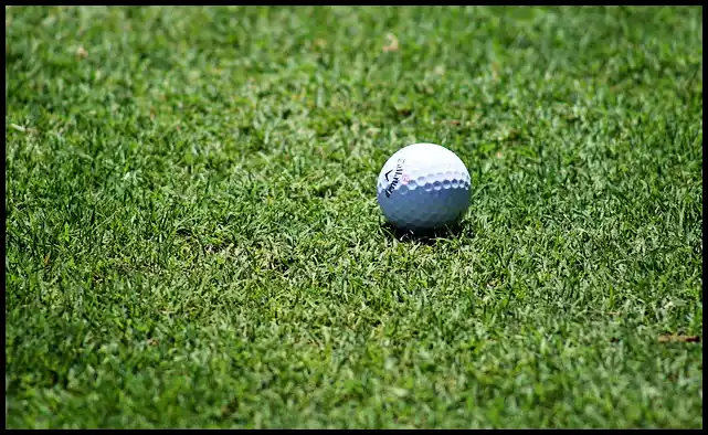 파크골프 용어 정리 (+ 해설 )