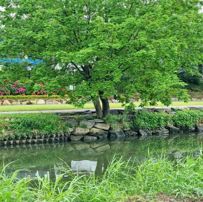 온천천시민공원