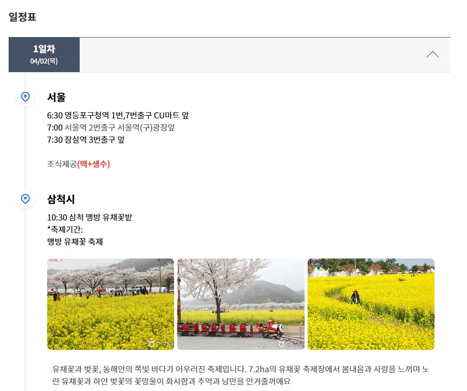 강원도 삼척 맹방 유채꽃 동백여행사 버스 투어