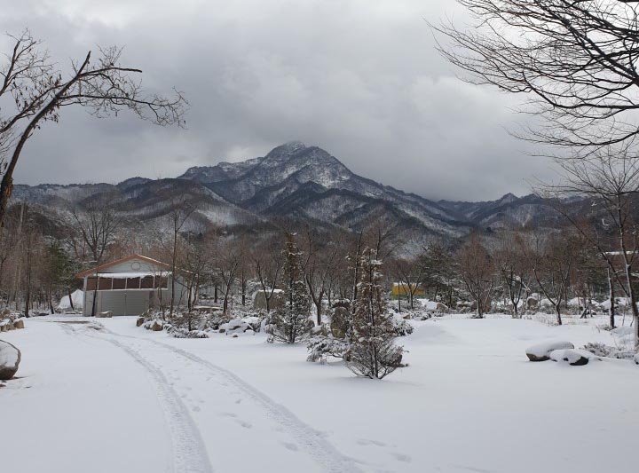 포천 도마치캠핑장 소개
