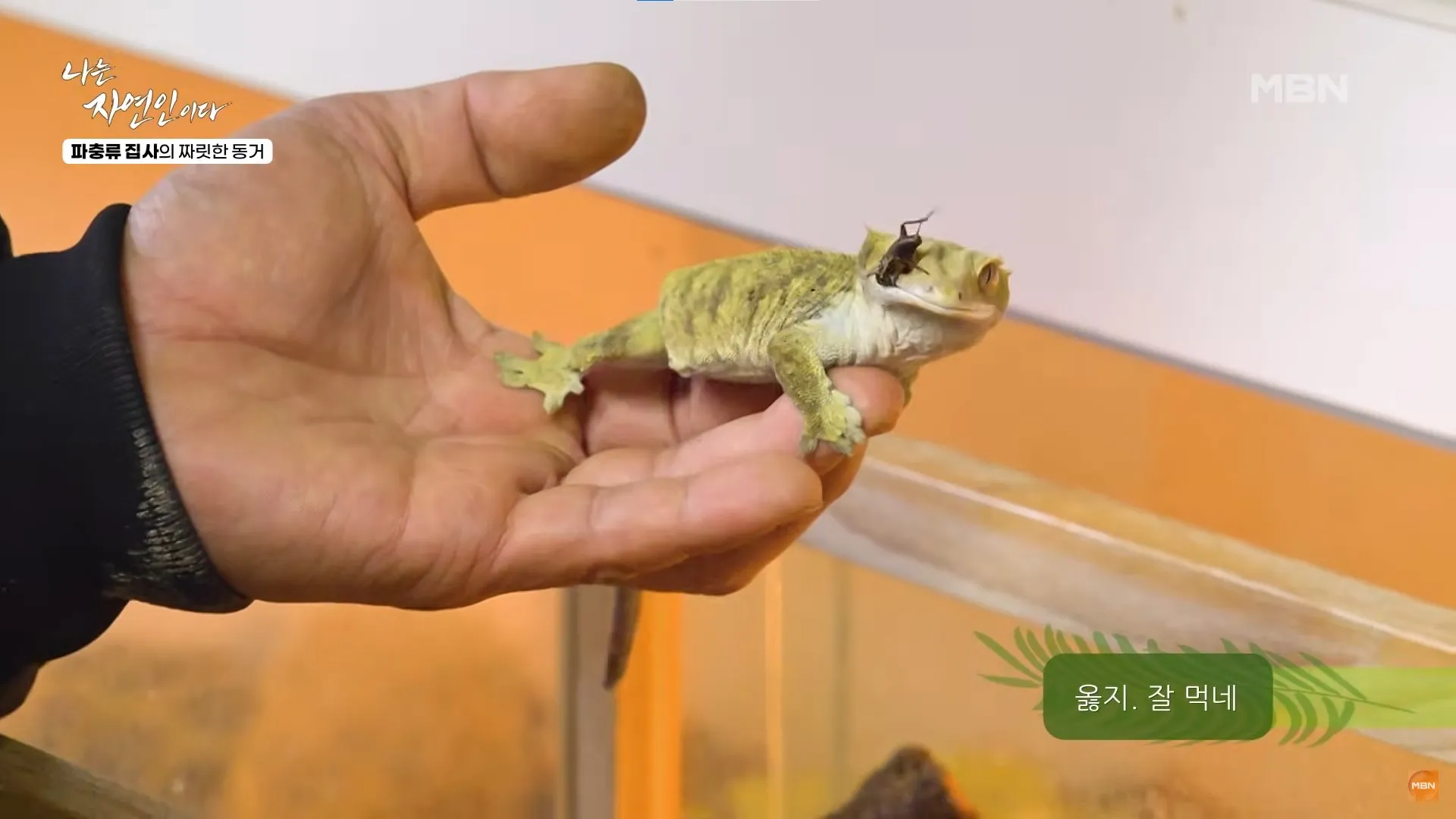 나는 자연인이다 640회