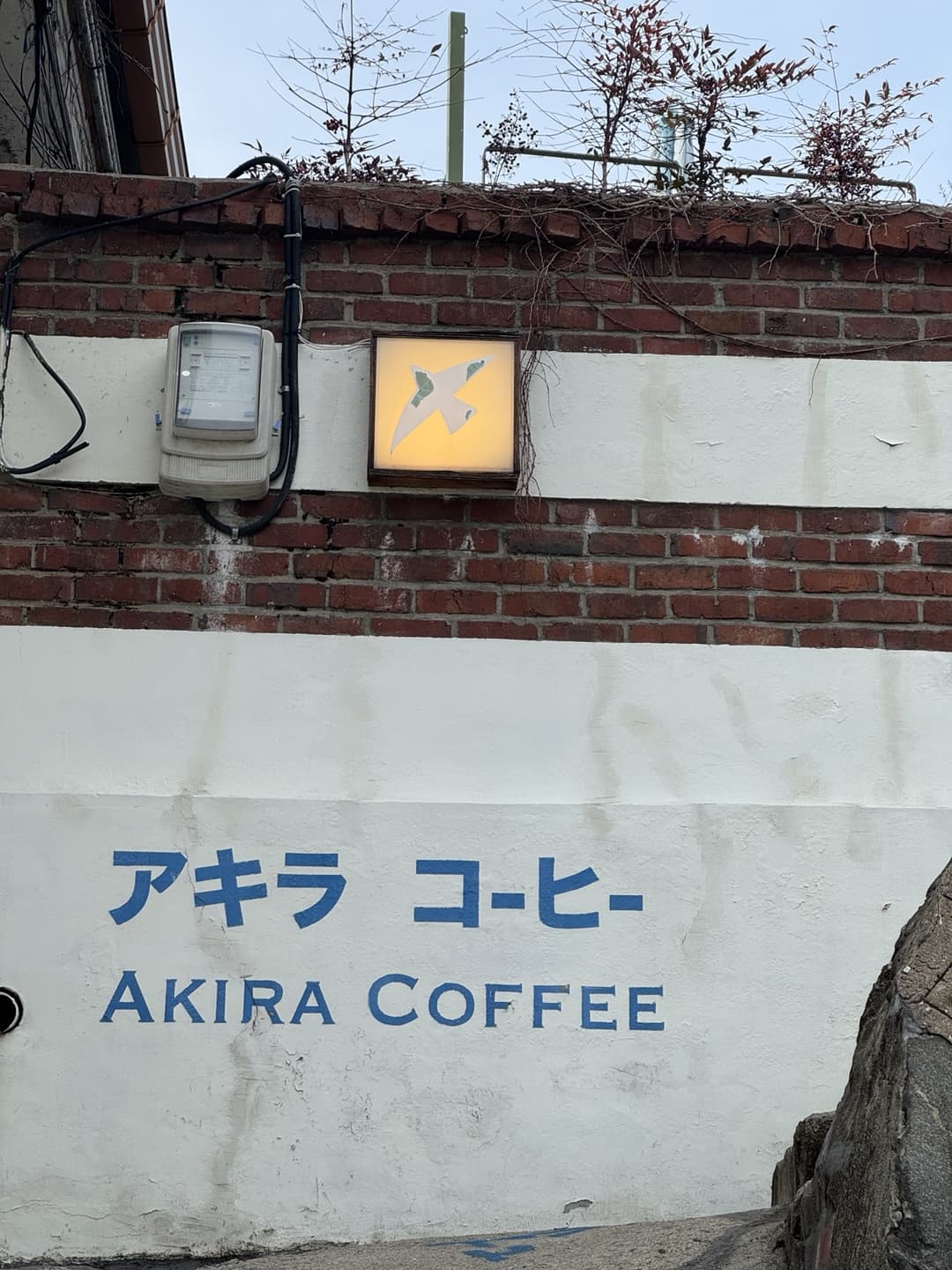 ☕ 인천 차이나타운 감성카페 추천 - 아키라커피 본점 일본에 온 듯한 분위기, 정원 있는 조용한 힐링 카페