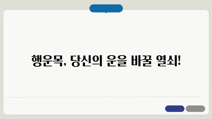 행운목 키우는 늜그루구