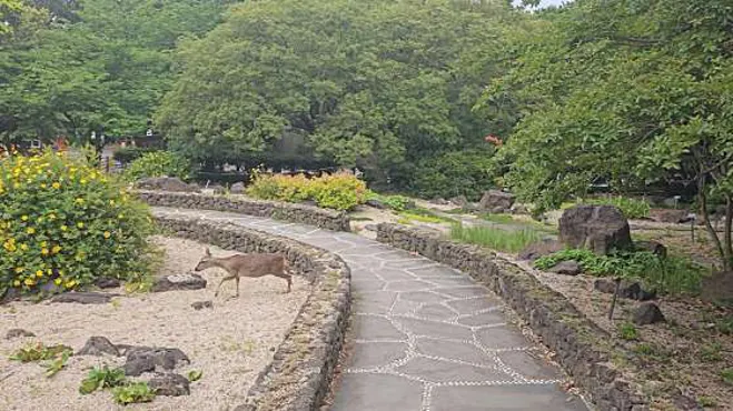 한라수목원