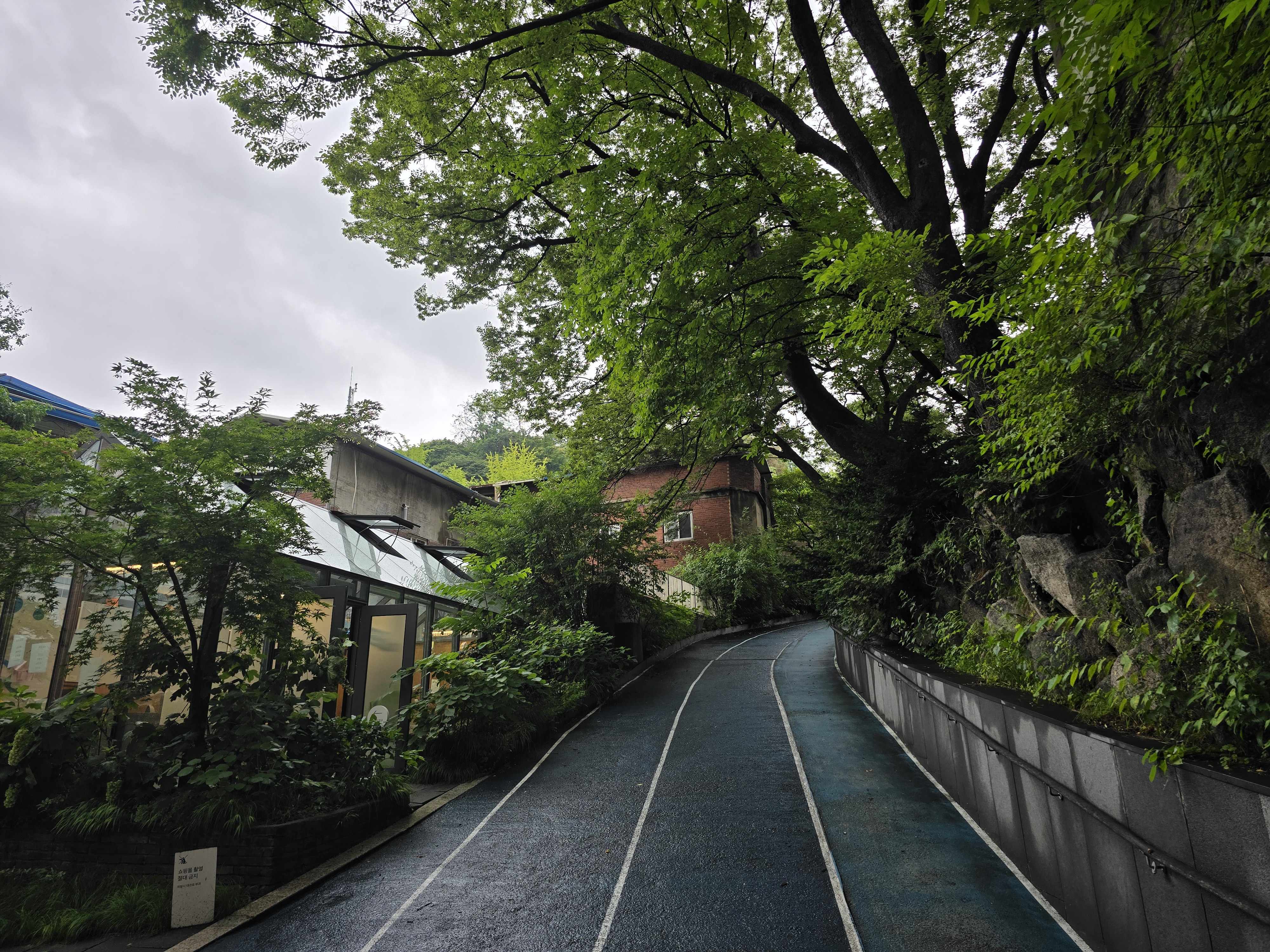 남산길 피크닉 가는길