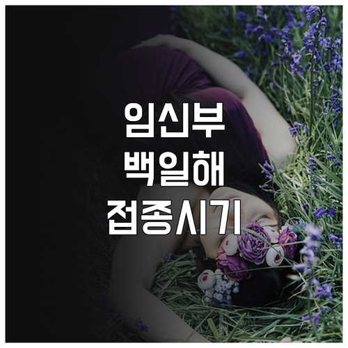 임신부 성인 백일해 예방접종 권고 시..