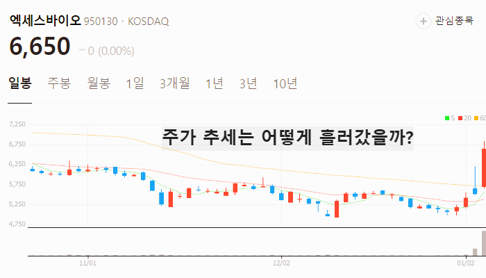 HMPV 관련주 대장주 테마주 수혜주 TOP5