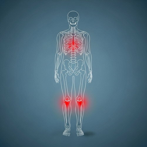 백혈병 초기증상