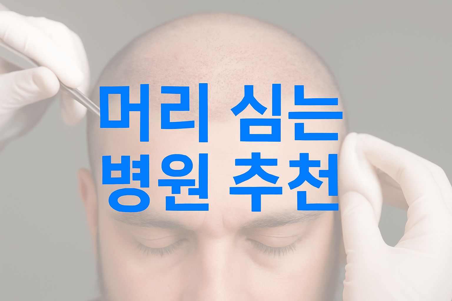 머리심는병원 추천